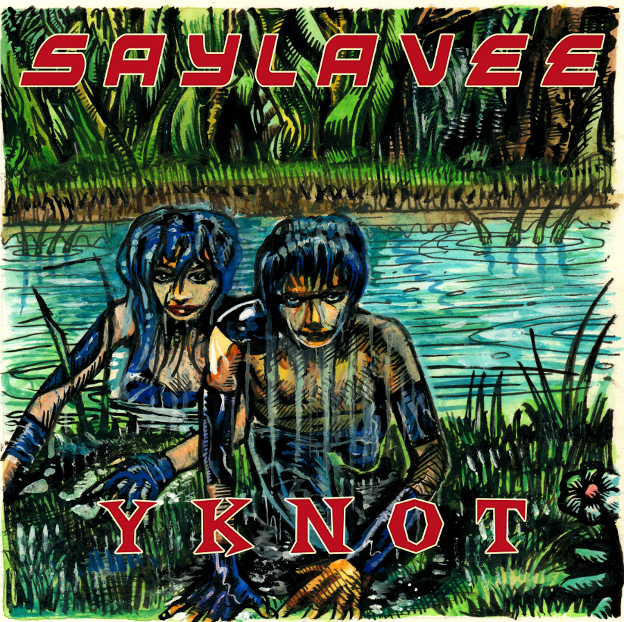 Saylavee Cover By Zac Sandler